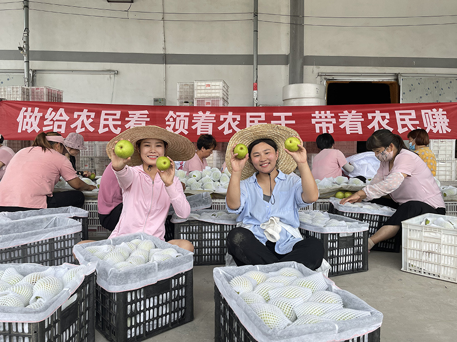 庐江哪个健身房最好_庐江健身房_庐江县健身房